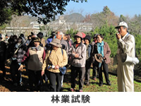 �ő����n�̌�