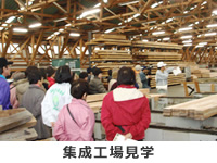 �W���ލH��