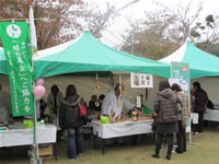 ���������t�F�A