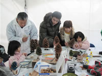 ���������t�F�A