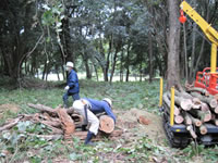 �L�t����������