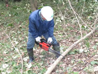 �L�t����������