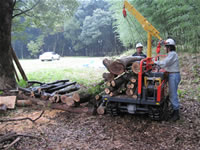 �L�t����������