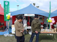 �������ܖ؍ނ܂�