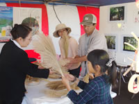 �������ܖ؍ނ܂�