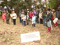 �X�ё̌��o�X�c�A�[