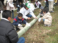 �X�ё̌��o�X�c�A�[