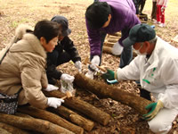 �X�ё̌��o�X�c�A�[