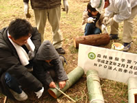 �X�ё̌��o�X�c�A�[