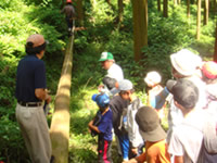 �X�ѐ������瑣�i����