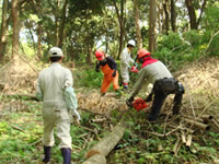 �X�у{�����e�B�A�̓�