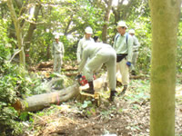 �X�у{�����e�B�A�̓�