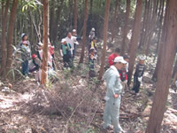 ���̐X�̐���