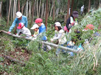 ���̐X�̐���