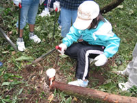 ���̐X�̐���