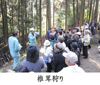 �w�K�̌������̂悤��