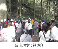 �w�K�̌������̂悤��