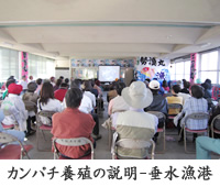 �w�K�̌������̂悤��