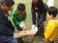 �������E�����|��