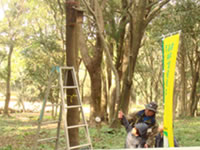 �������E�����|��