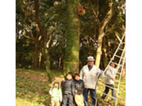 �������E�����|��