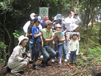 �쒹�̊ώ@��