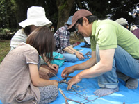 �쒹�̊ώ@��