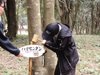 ��������