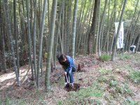 �o�X�c�A�[