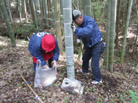 �o�X�c�A�[