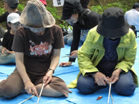 �o�X�c�A�[