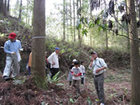 �o�X�c�A�[