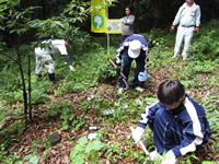 �����ǂ��T�~�b�g