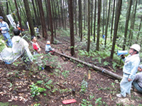 �����ǂ��T�~�b�g