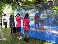 �����ǂ��T�~�b�g