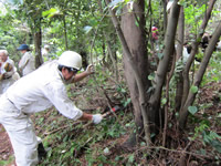 �X�у{�����e�B�A