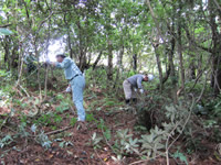 �X�у{�����e�B�A