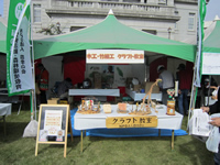 �������ܖ؍ނ܂�