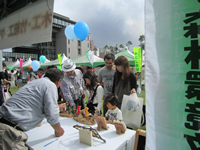 �������ܖ؍ނ܂�