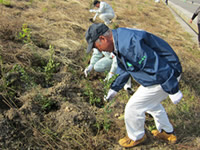 �u�z�u�A�C�ӂ̐X�Â���