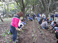 �X�тƂӂꂠ���̌�