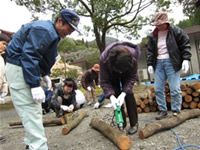 �̌��o�X�c�A�[