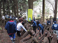 �̌��o�X�c�A�[