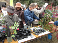 �̌��o�X�c�A�[