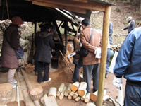 �̌��o�X�c�A�[