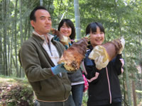 �̌��o�X�c�A�[