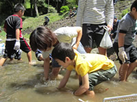 �j�W�}�X�͂ǂ����`