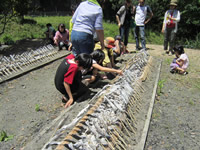 �܂��Ă��Ȃ����ȁ`�H