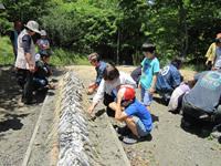 �܂��Ă��Ȃ����ȁ`�H