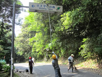 ���H�����̊Ŕ��s�J�s�J